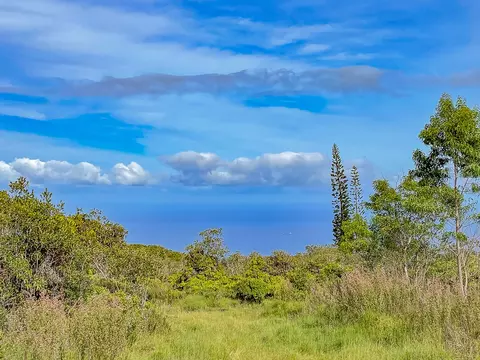 59 Upper Maulua, Papaaloa, HI 96780