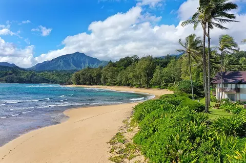 5-7130 Kuhio Hwy #J3 DEC/JAN - 1, Hanalei, HI 96714