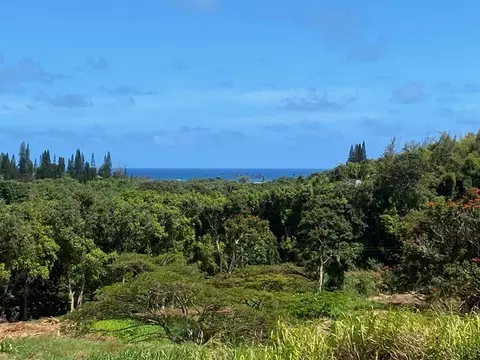 Kanaele Rd, Kapaa, HI 96746
