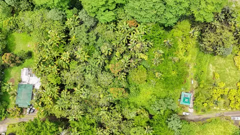 Japanese Camp Rd, Pahoa, HI 96778