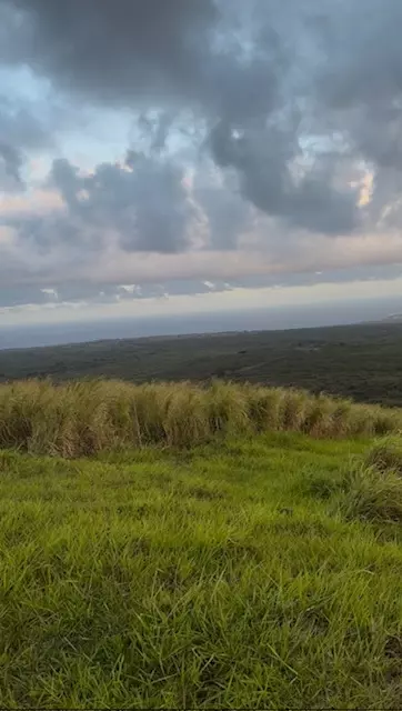 Undisclosed, Naalehu, HI 96772