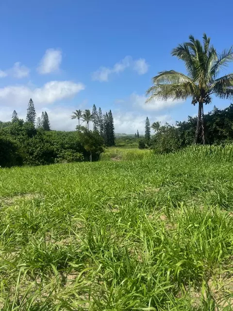 Kanaloa Pl, Naalehu, HI 96772