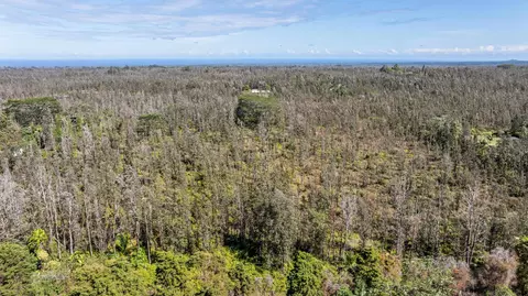 Road 4, Kurtistown, HI 96760