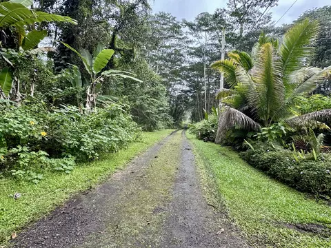 Pikake Rd, Pahoa, HI 96778
