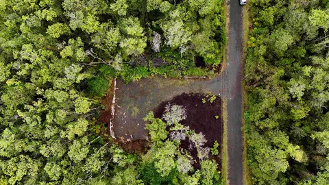 Road 11, Volcano, HI 96785