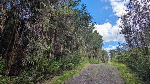 16-1395 Road 5, Mountain View, HI 96749