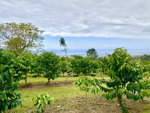 5023 Lawaia Pl, Holualoa, HI 96725