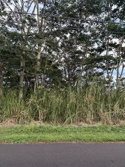 Hibiscus Dr, Pahoa, HI 96778