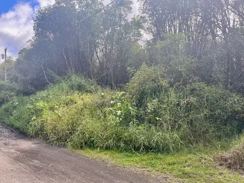 Oahu St, Mountain View, HI 96771