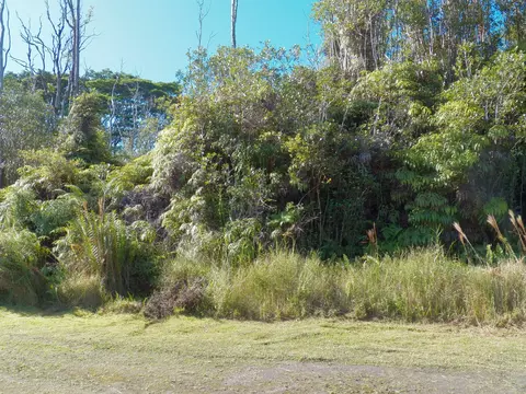 Holana St, Mountain View, HI 96771