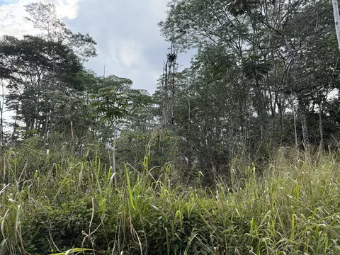 Sandalwood Ct, Kurtistown, HI 96760
