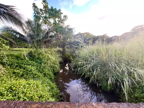 uilama pl, Kapaa, HI 96746