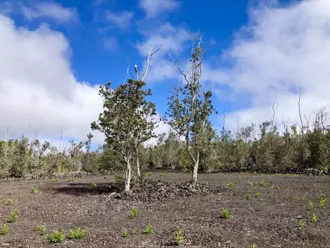 Paradise Pkwy, Ocean View, HI 96737