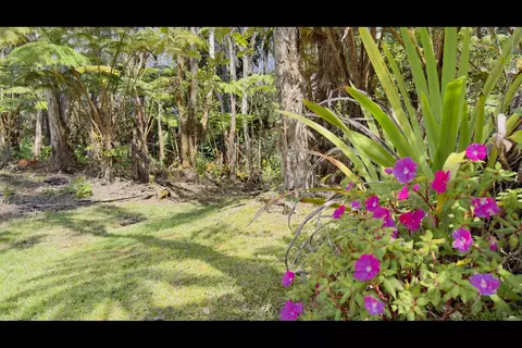 Haunani Rd, Volcano, HI 96785
