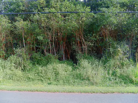 Diamond Head Rd, Pahoa, HI 96778