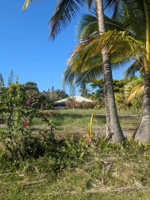 Mapuana Ave, Pahoa, HI 96778