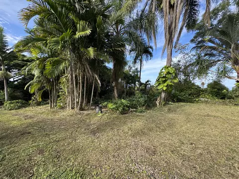 82-1161 Kinue Rd, Captain Cook, HI 96704