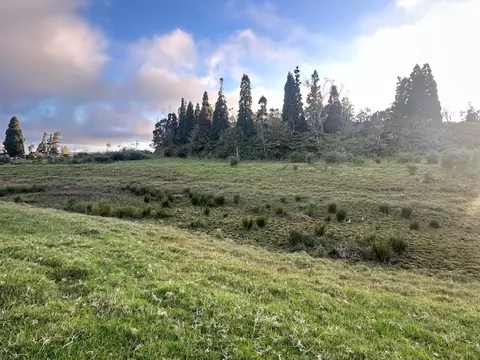 19-5830 Mahiai Rd, Volcano, HI 96785