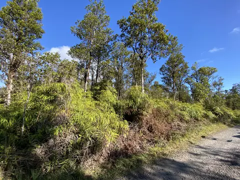Jungle King Ave, Volcano, HI 96785