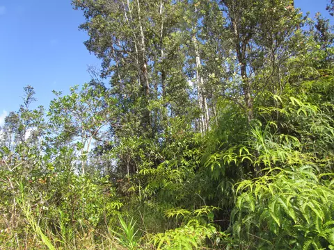 Road 9, Kurtistown, HI 96760
