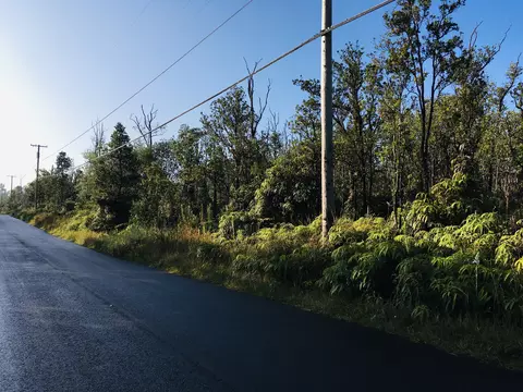 11-2785 Ala Kapena, Volcano, HI 96785