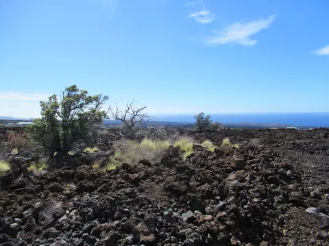 Hokulani Blvd, Ocean View, HI 96737