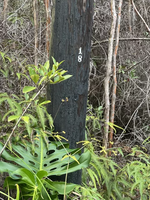 Road 3, Kurtistown, HI 96760
