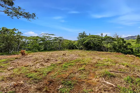 3310 Wawae Rd, Kalaheo, HI 96741