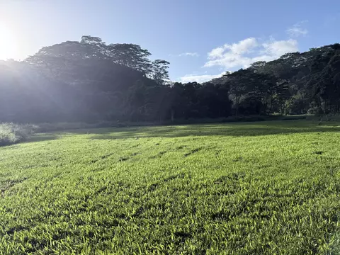 Undisclosed, Kilauea, HI 96754