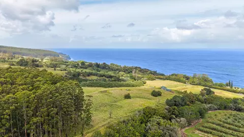 34-1219 Hawaii Belt Rd, Papaaloa, HI 96780