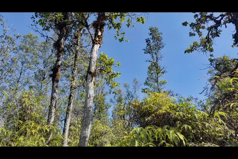 Road 2, Mountain View, HI 96771