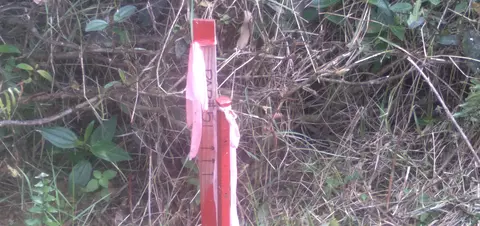 Mikana St, Mountain View, HI 96771