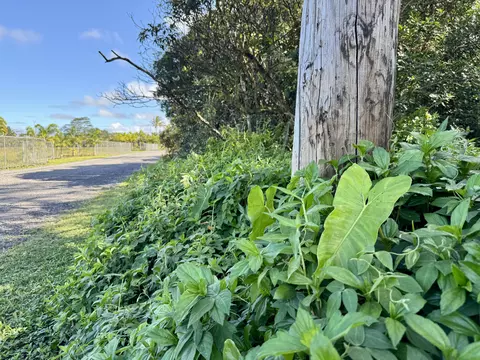 15-1730 11th Ave, Keaau, HI 96749