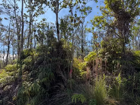 Anuhea St, Volcano, HI 96785