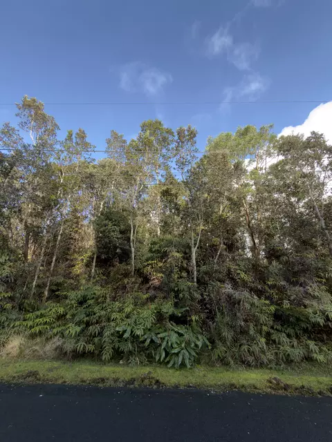 3 Rd St, Volcano, HI 96785 photo 2