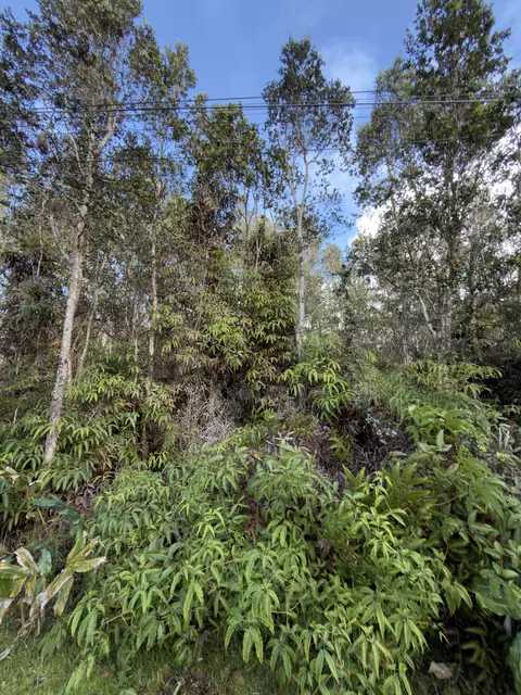 3 Rd St, Volcano, HI 96785 photo 3