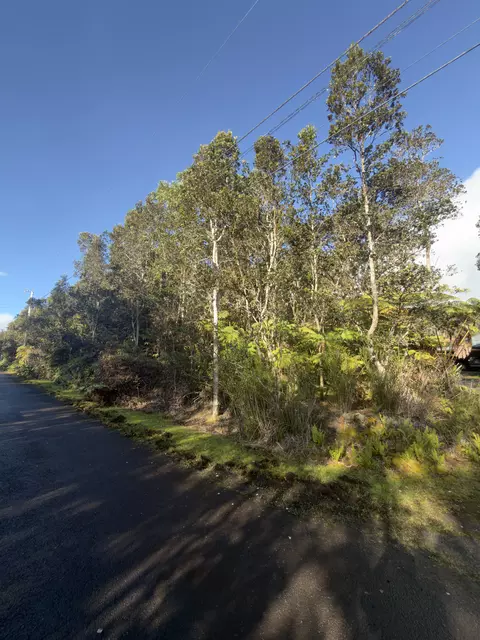 3 Rd St, Volcano, HI 96785