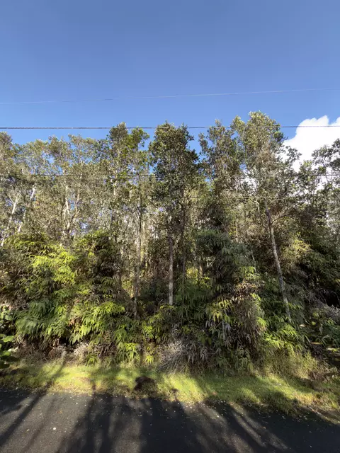 3 Rd St, Volcano, HI 96785 photo 2