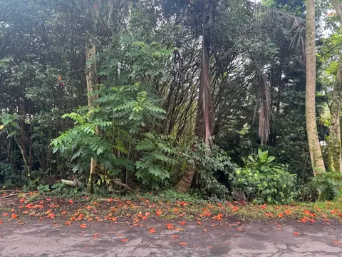 Ocean View Pkwy, Pahoa, HI 96778