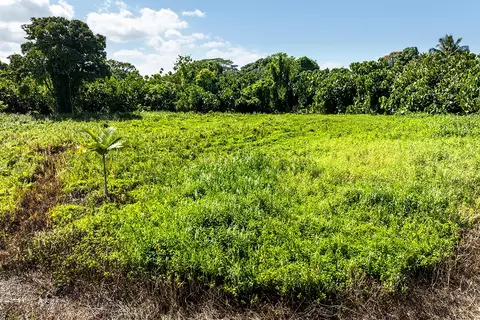Undisclosed, Hilo, HI 96720 photo 17