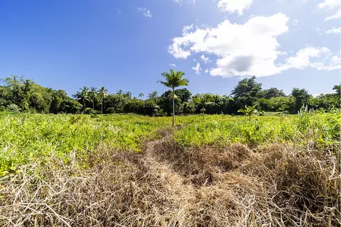 Undisclosed, Hilo, HI 96720 photo 18