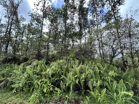 Aloha Ct, Kurtistown, HI 96760