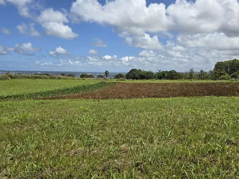 Puia Road, Hilo, HI 96720