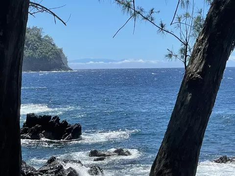 36-1070 Laupahoehoe Point Rd, Laupahoehoe, HI 96764