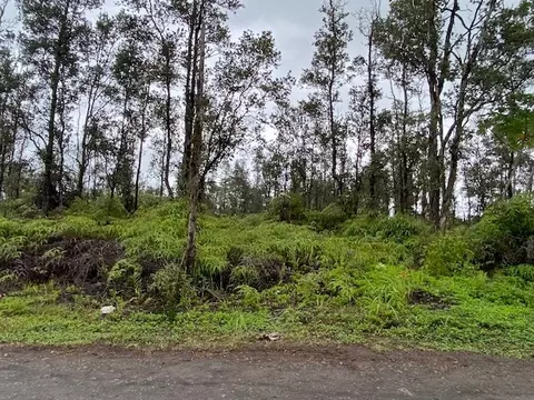 36 Th Ave, Kurtistown, HI 96760