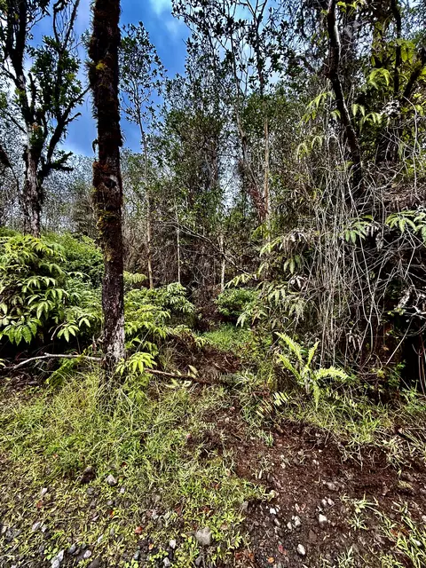Road 9, Mountain View, HI 96771 photo 2