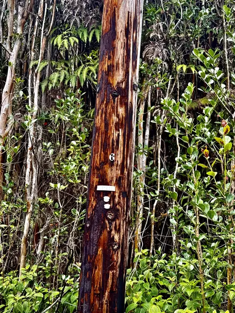 Road 9, Mountain View, HI 96771 photo 4
