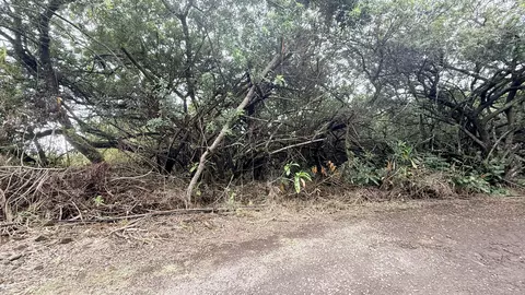 Undisclosed, Kealakekua, HI 96750
