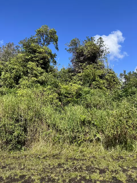 Holana St, Mountain View, HI 96771