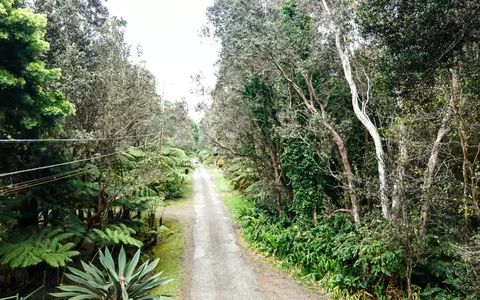 19-4164 Alanui Iiwi Rd, Volcano, HI 96785